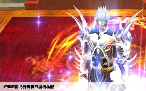 谁知道能飞升成神的魔域私服